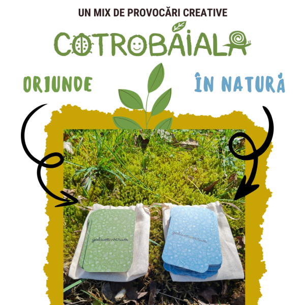 Cotrobăiala MIX (ORIUNDE+ÎN NATURĂ) - imagine 9