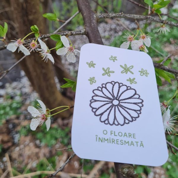 Cotrobăiala ÎN NATURĂ - imagine 3