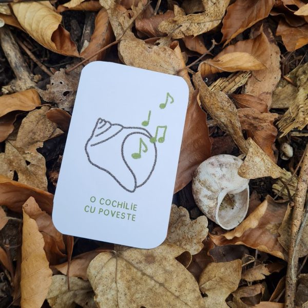 Cotrobăiala ÎN NATURĂ - imagine 8