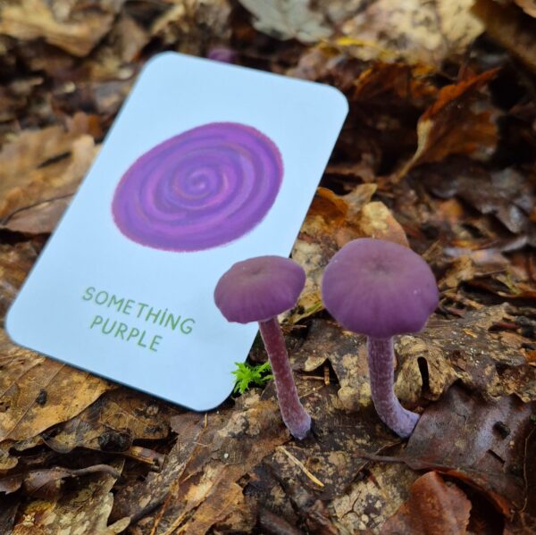 Somethings here&there EVERYWHERE - imagine 2