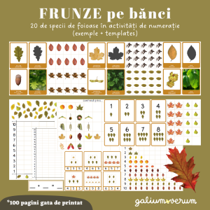 Frunze pe bănci | Produs digital