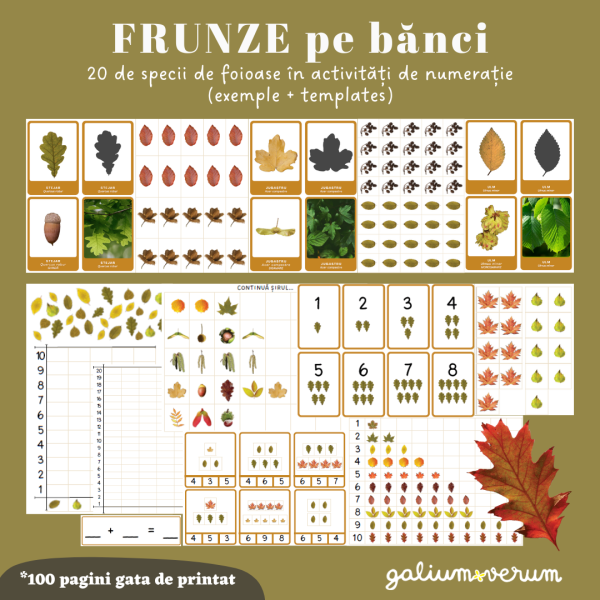 Frunze pe bănci | Produs digital