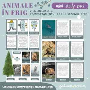 Animale în frig | Produs digital